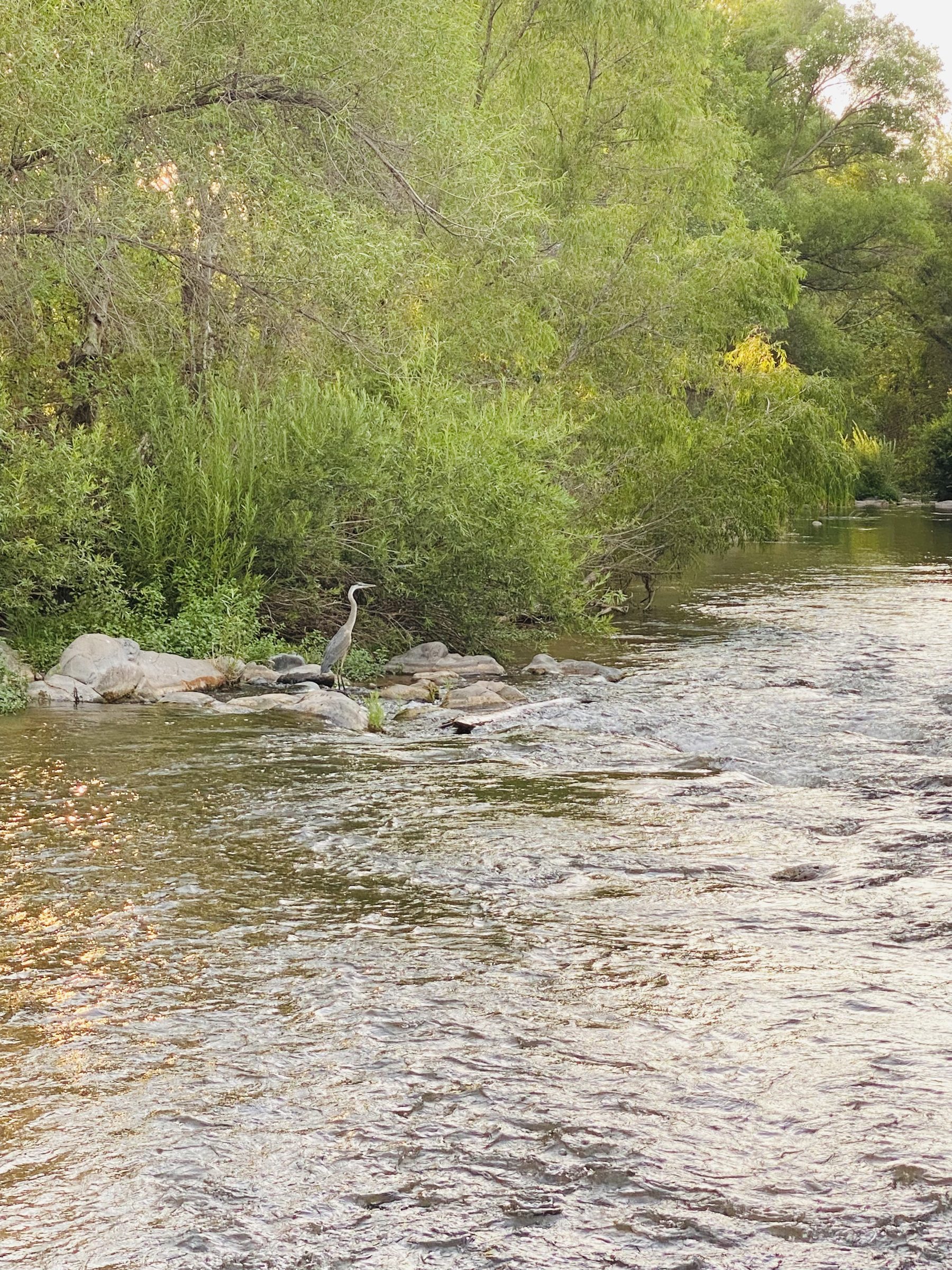 Oak Creek