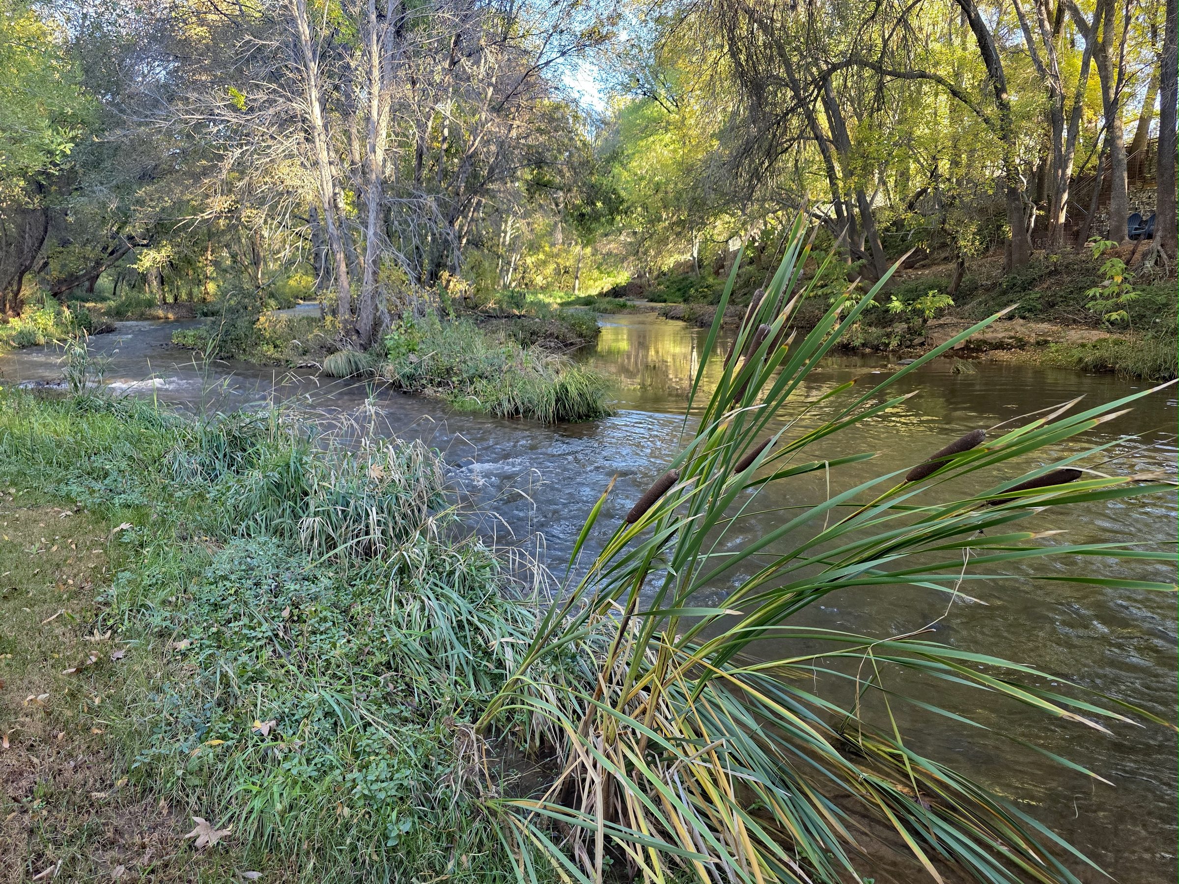 Oak Creek